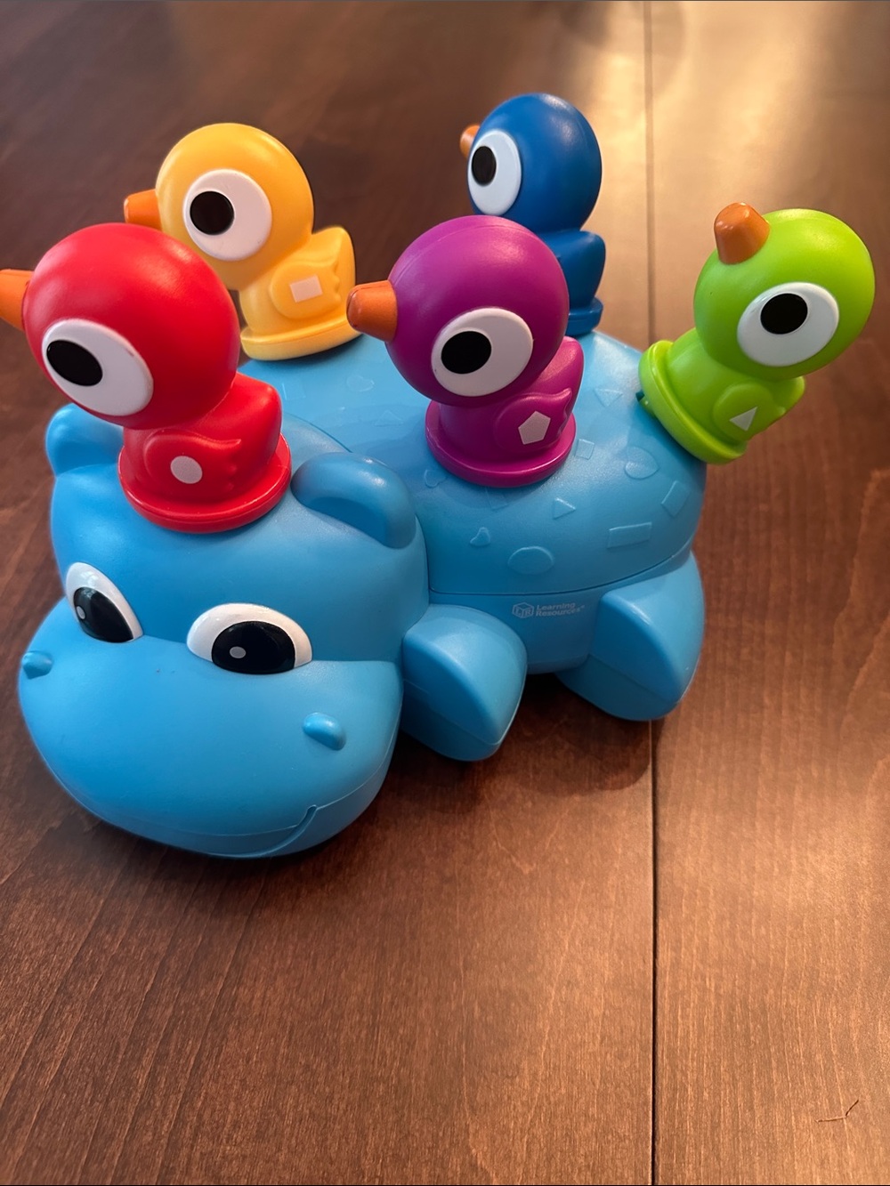 Blue Hippo with Colorful Birds - Educational Kids Toy